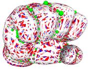 A fist with red green and blue dots

Description automatically generated